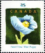 Canada Blue Poppy