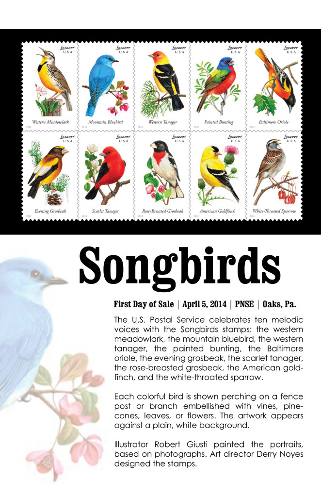 songbird bird songbird bird