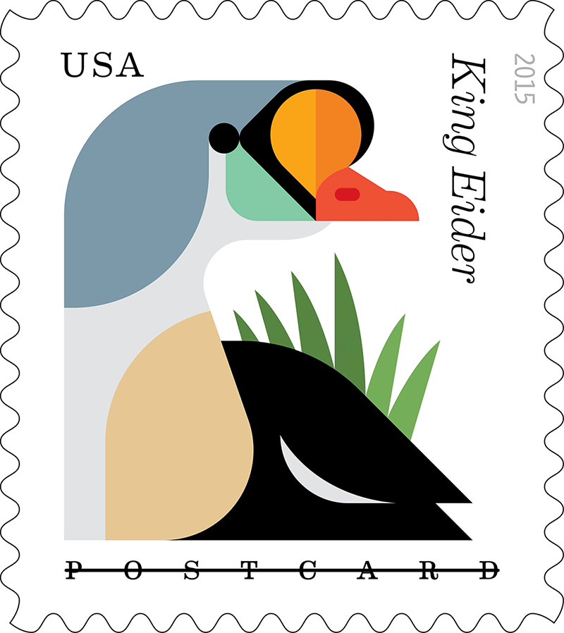 Coastal Birds (U.S. 2015)