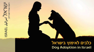 isr_dogadopt1