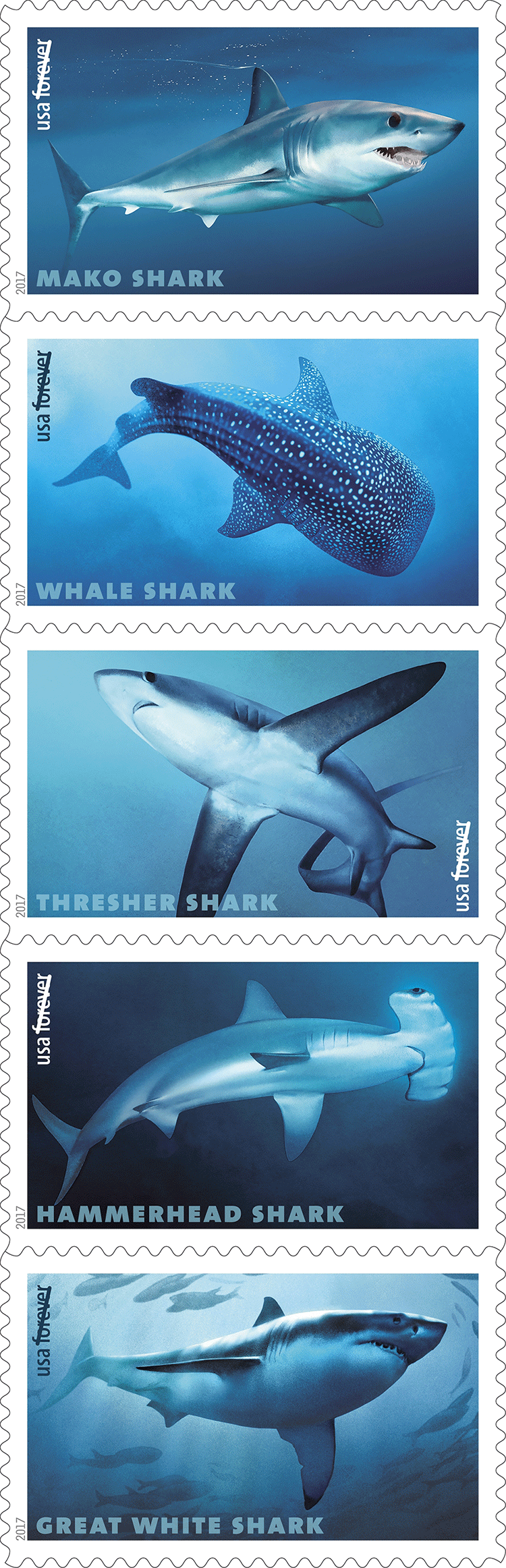 Sharks (u.s. 2017) 