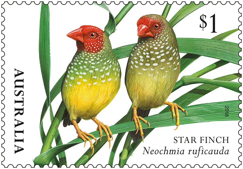 Finches (Australia 2018) | virtualstampclub.com