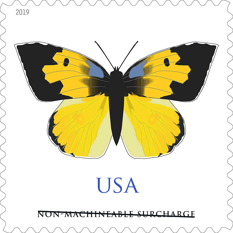 Sixth U.S. Butterfly stamp's technical details, issue date announced