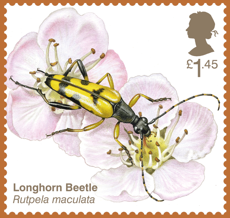 Pollinating Insects (UK 2020) | Virtualstampclub.com