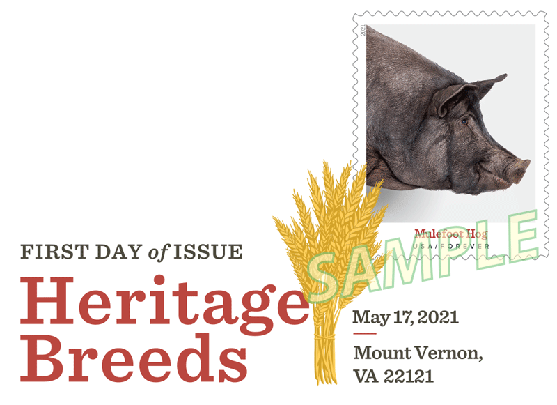 5583-92 - 2021 First-Class Forever Stamps - Heritage Breeds