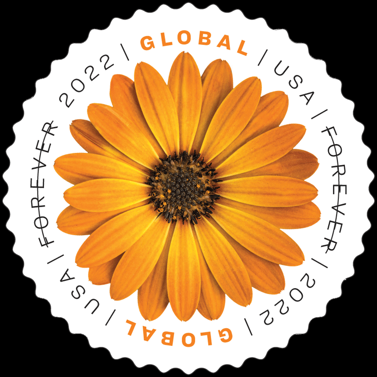African Daisy (Global Letter Rate) (U.S. 2022)