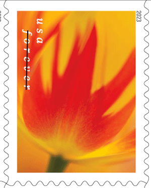Scott catalog numbers assigned to recent U.S. stamps