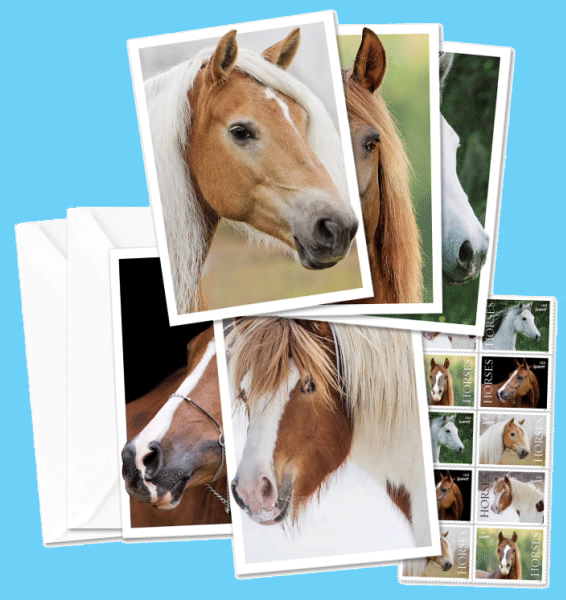 horses notecards